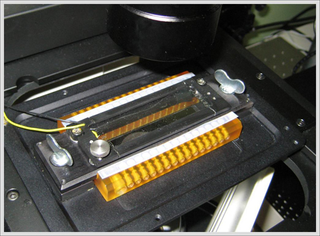 Illustration for article titled Nanopoint's Celltray Still Shaking Up Live Cell Imaging